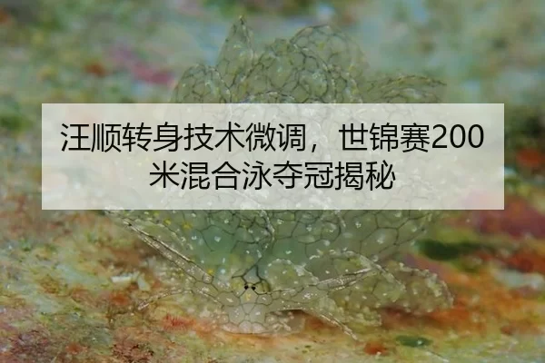 wang-shun-zhuan-shen-ji-shu-wei-diao-shi-jin-sai-mi-hun-he-yong-duo-guan-jie-mi-3-991.jpg