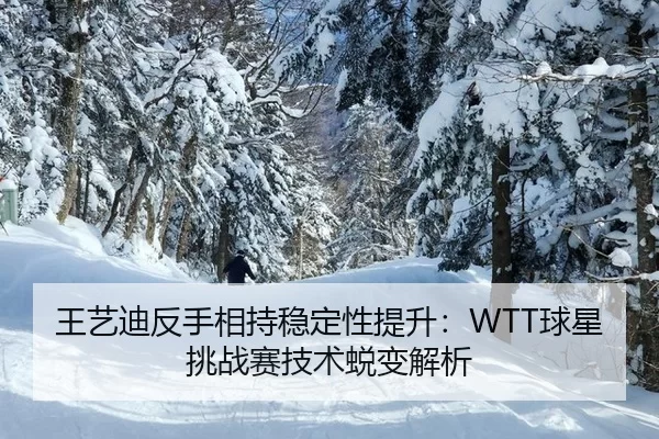 王艺迪反手相持稳定性提升：WTT球星挑战赛技术蜕变解析