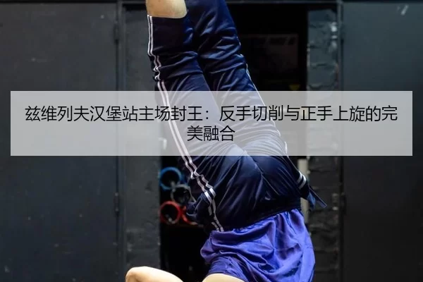 兹维列夫汉堡站主场封王：反手切削与正手上旋的完美融合