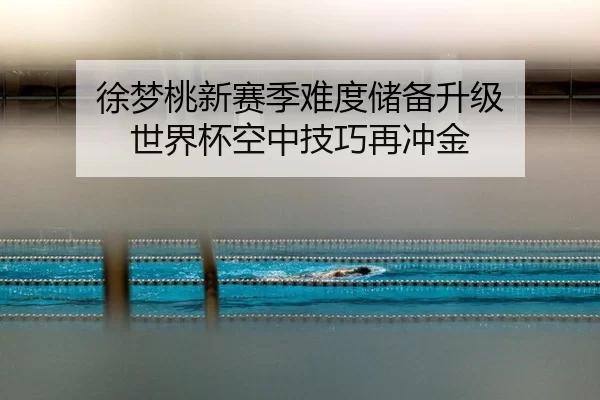 徐梦桃新赛季难度储备升级 世界杯空中技巧再冲金